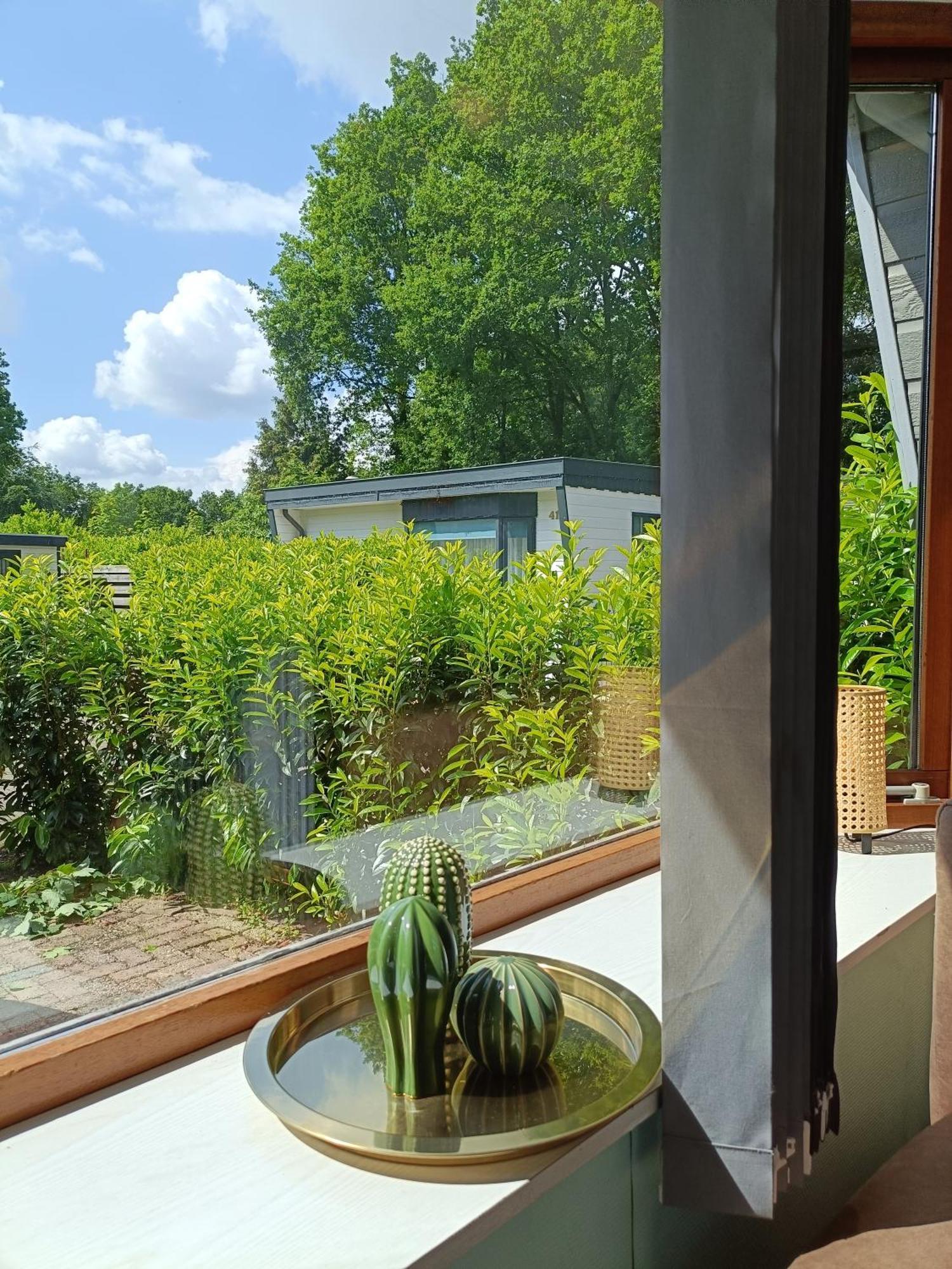 Knusse Veluwse Chalet in Putten alleen voor recreatie Buitenkant foto